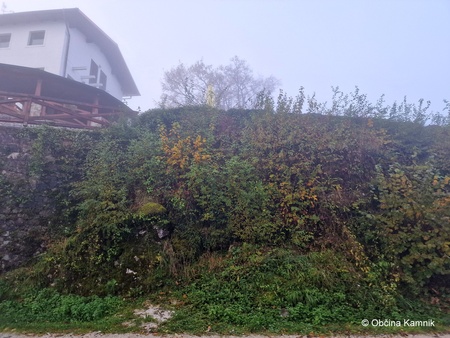 Začetek del čiščenja vegetacije na obzidju Starega gradu Kamnik (2)